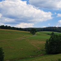 Autor Bild