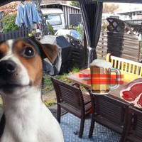 Autor Bild