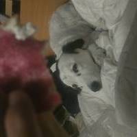 Autor Bild